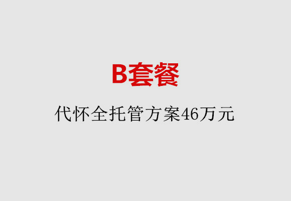 贵阳B套餐：代怀全托管方案46万元